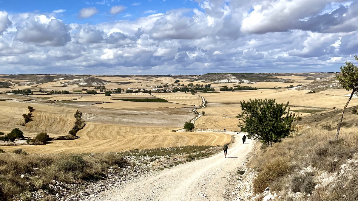 A picture of pilgrims walking the Camino de Santiago through the Meseta.